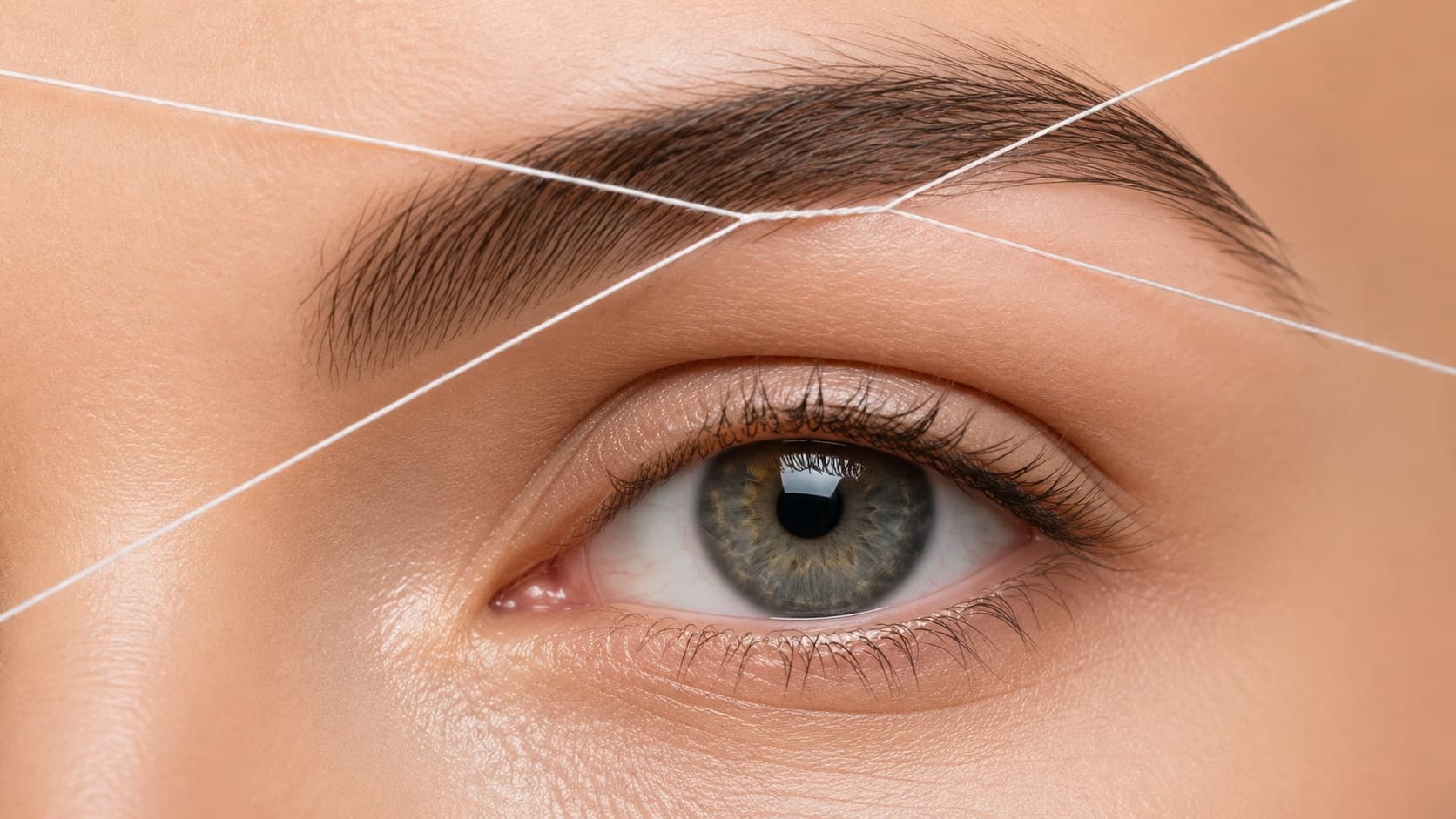 Cejas